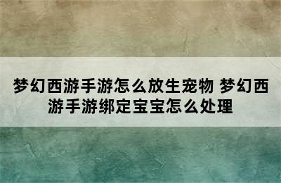 梦幻西游手游怎么放生宠物 梦幻西游手游绑定宝宝怎么处理